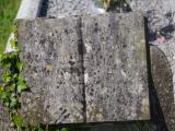 image of grave number 954041